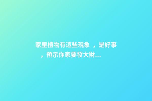 家里植物有這些現象，是好事，預示你家要發大財了！